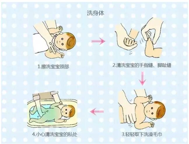 伽师新梅：内心柔软的INTJ